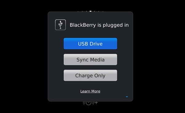 BlackBerry USB Drivers-options