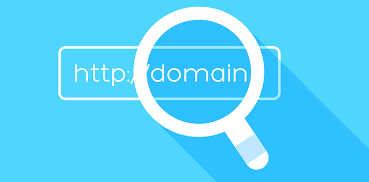 Domain Name Search online